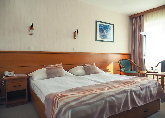 Panoráma Szálloda 3*